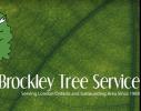 Brockley Tree Service logo